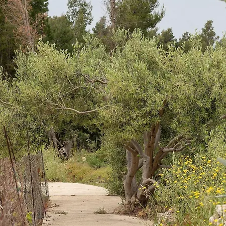 公寓 Lavanda 伊万多拉克